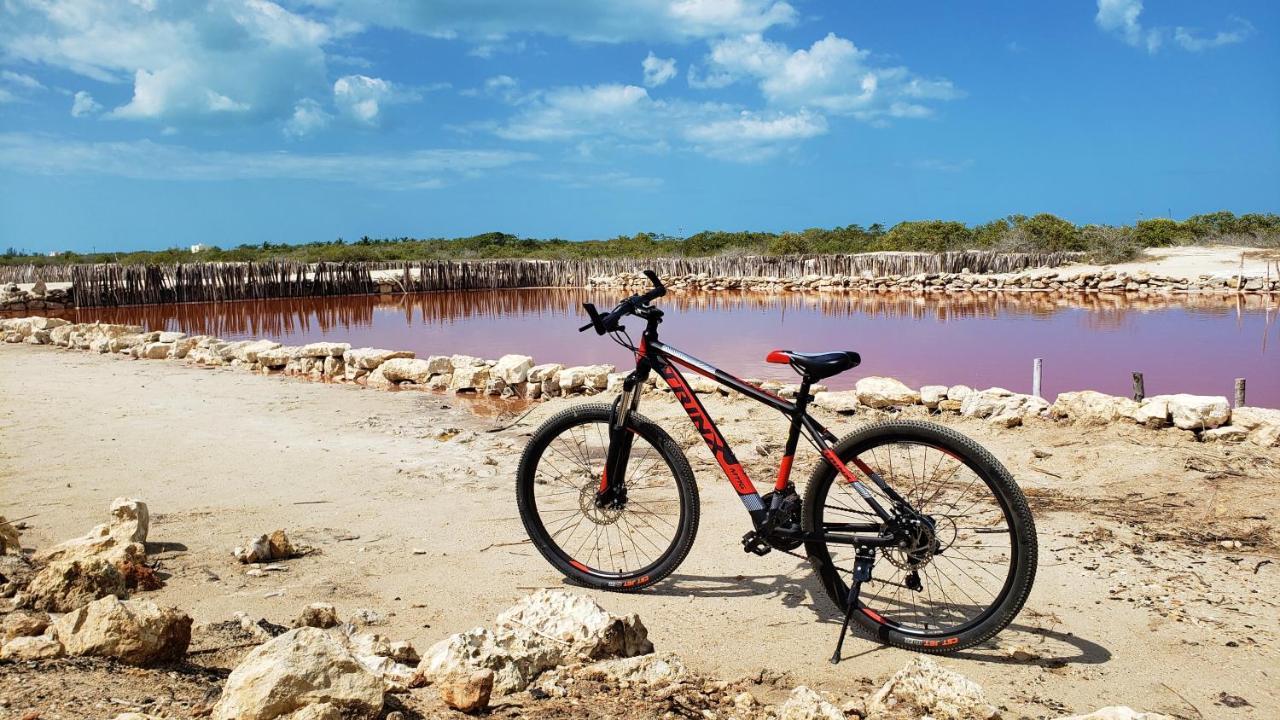Reef Yucatan All Inclusive & Convention Center Merida Luaran gambar